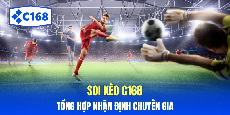 Nhận định trận đấu từ góc nhìn chuyên gia bóng đá